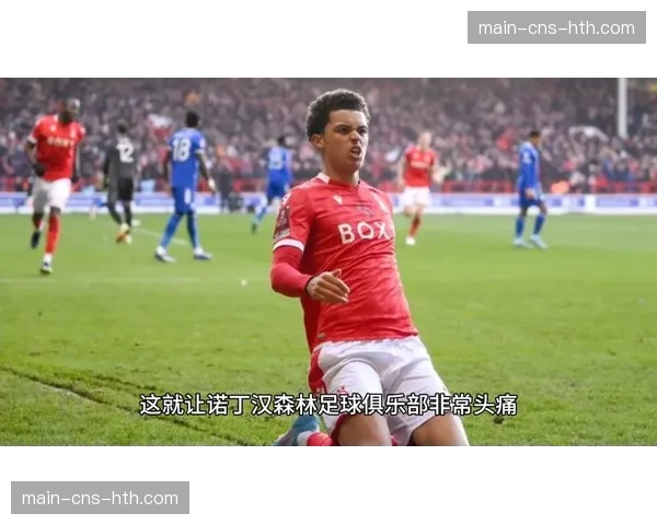 独立监管委员会就诺丁汉森林财务违规案召开听证会,结果预计四月公布。 独立监管委员会就诺丁汉森林财务违规案召开听证会,结果预计四月公布。